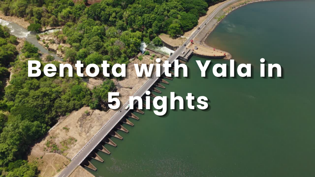 Bentota with Yala in 5 nights Tour Package